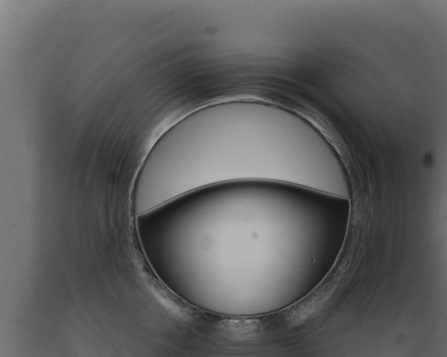 X0000089940858200707061059