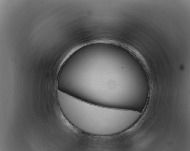 X0000089940860200707061059