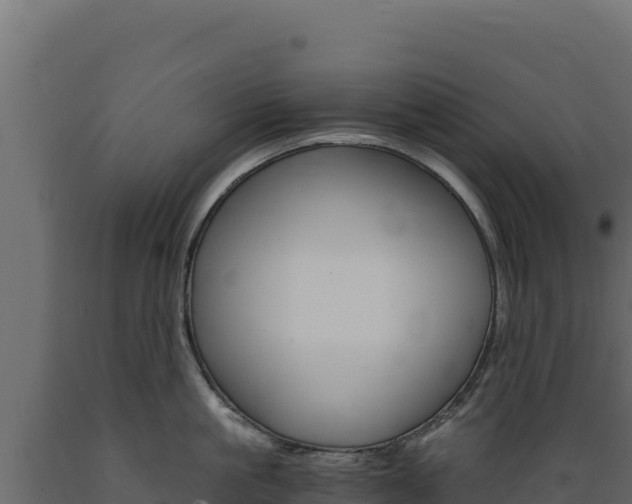 X0000089940861200707061059