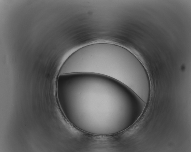 X0000089940862200707061059