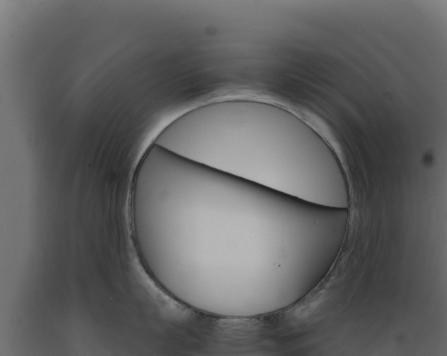 X0000089940863200707061059