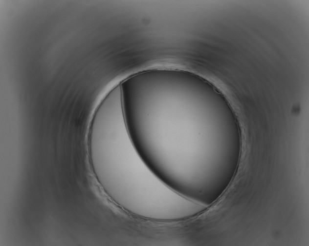 X0000089940864200707061059