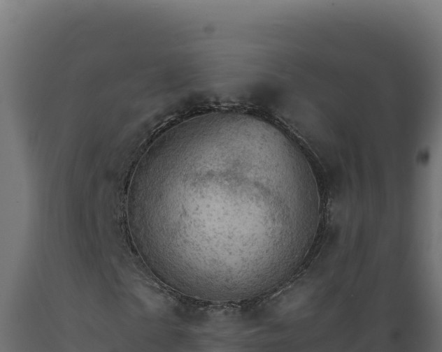 X0000089940865200707061058