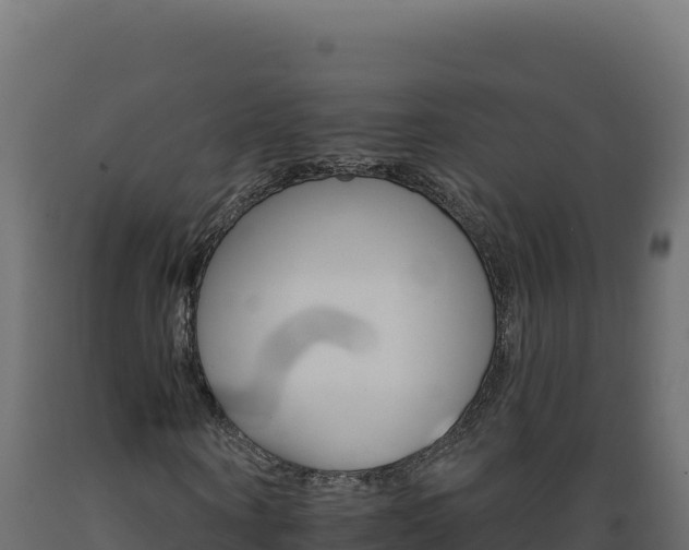 X0000089940866200707061058