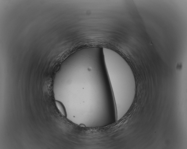 X0000089940867200707061058