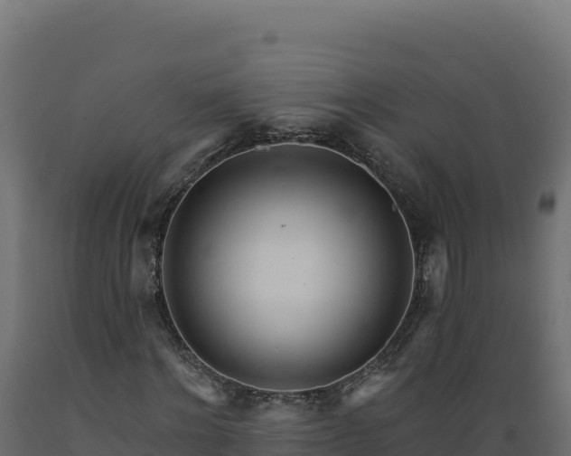 X0000089940868200707061058