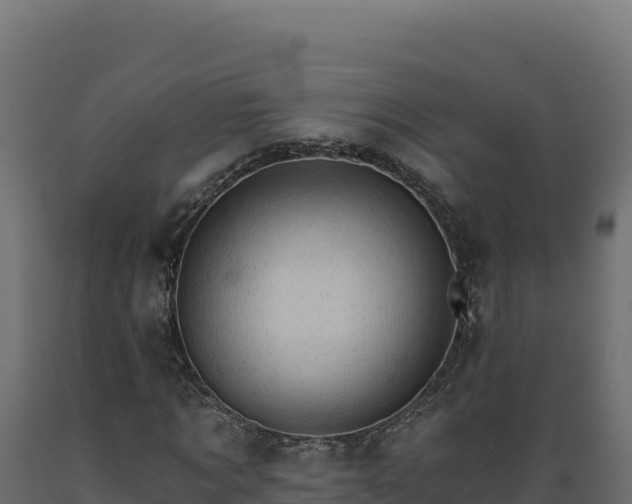 X0000089940869200707061058