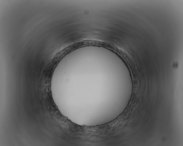 X0000089940870200707061058