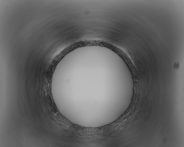 X0000089940871200707061058