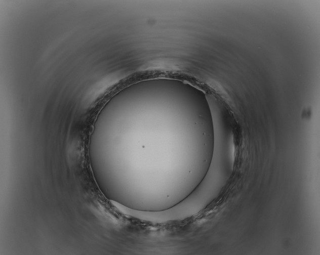 X0000089940872200707061058