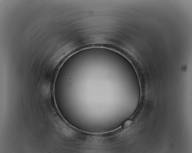 X0000089940873200707061058