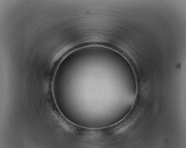 X0000089940874200707061058