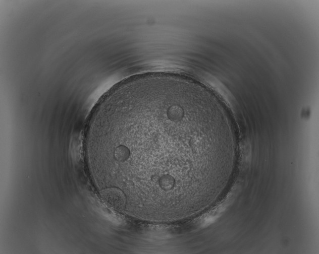 X0000089940875200707061058