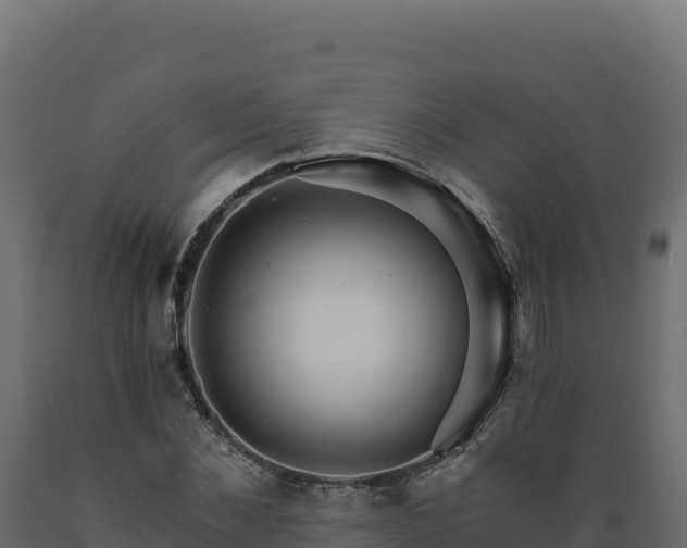 X0000089940876200707061058