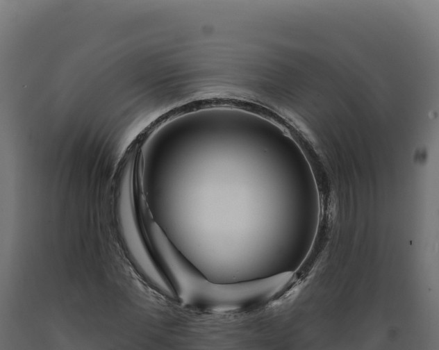 X0000089940877200707061058