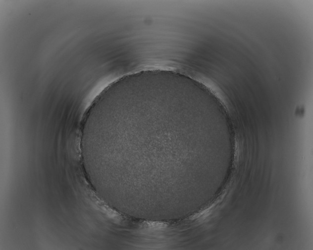 X0000089940878200707061058