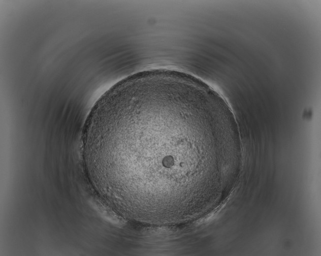 X0000089940879200707061058