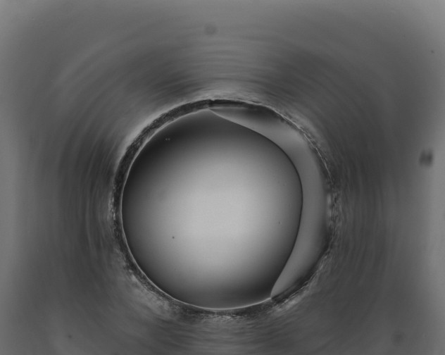 X0000089940880200707061058