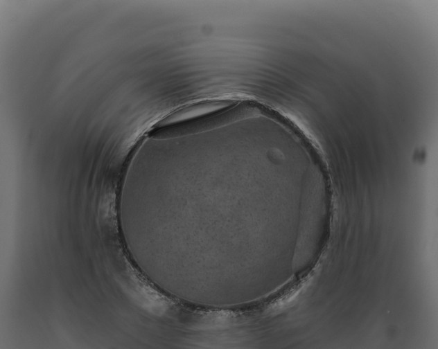 X0000089940881200707061058