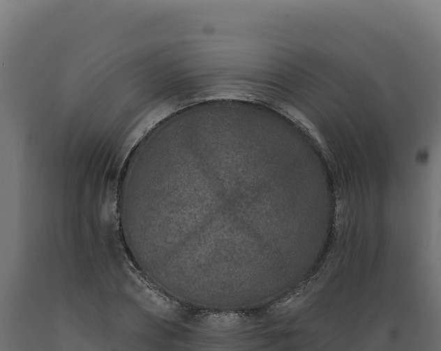 X0000089940882200707061058