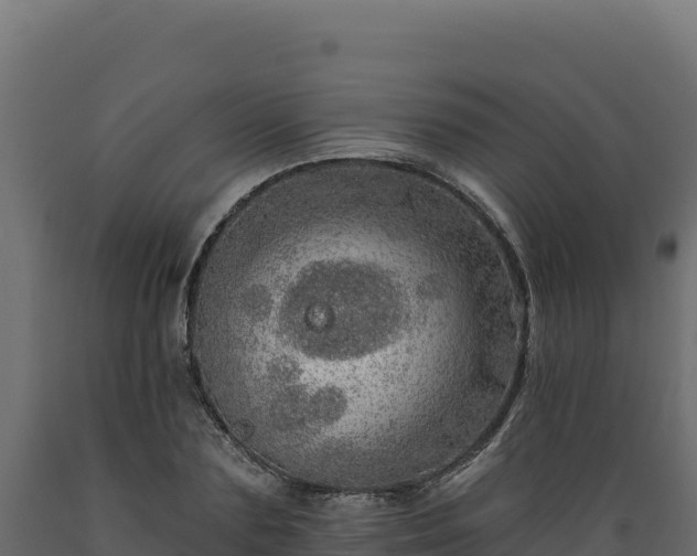 X0000089940883200707061058