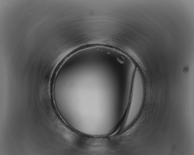 X0000089940884200707061058