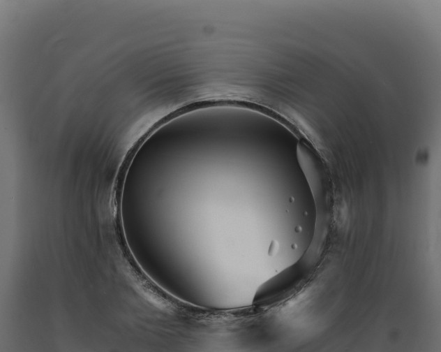 X0000089940885200707061058