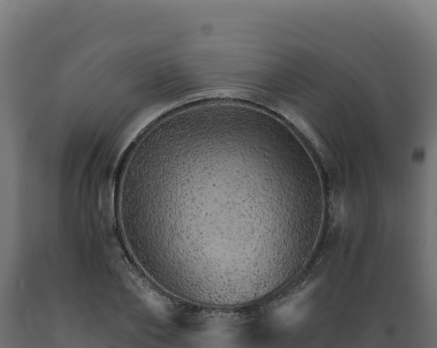 X0000089940886200707061058