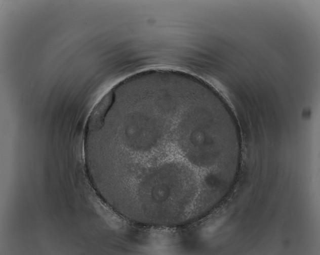 X0000089940887200707061058