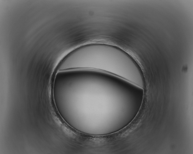 X0000089940888200707061058