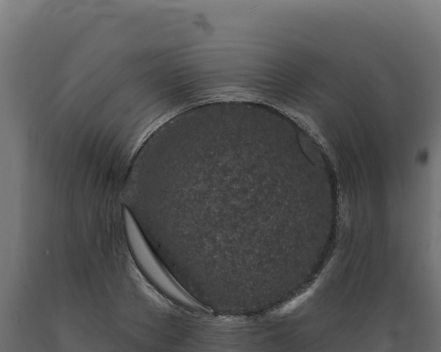 X0000089940889200707061058