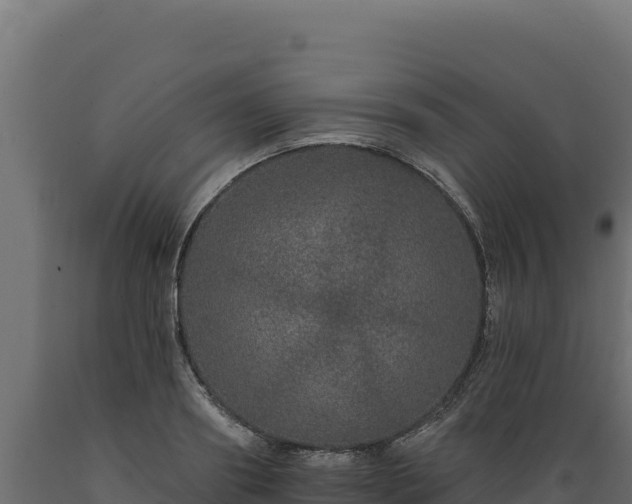 X0000089940890200707061058