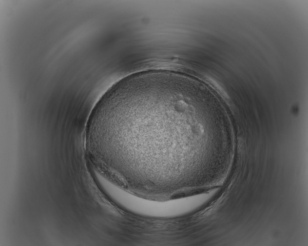 X0000089940891200707061058