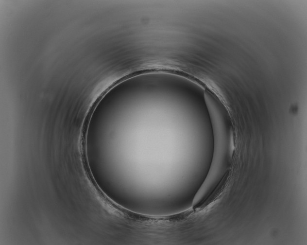 X0000089940893200707061058