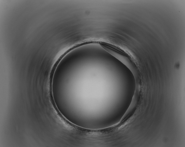 X0000089940894200707061058