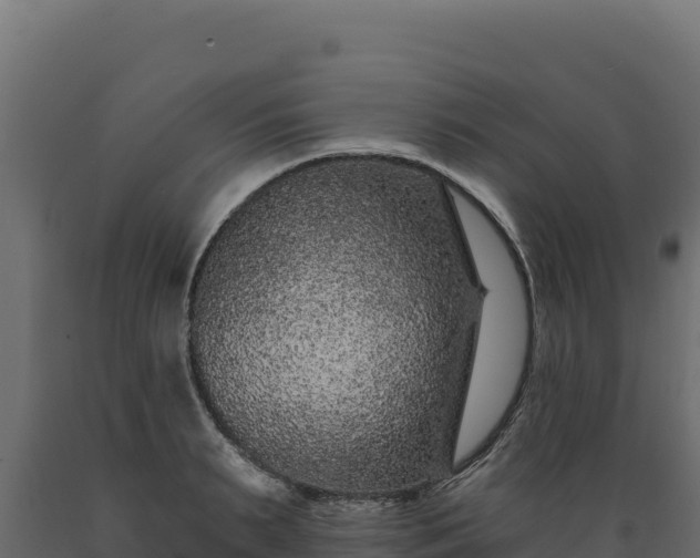 X0000089940895200707061058