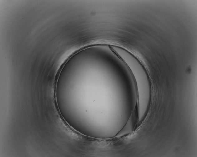 X0000089940896200707061058