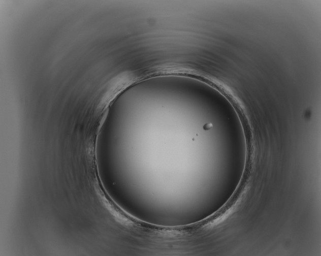 X0000089940897200707061058