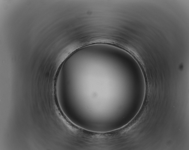 X0000089940898200707061058