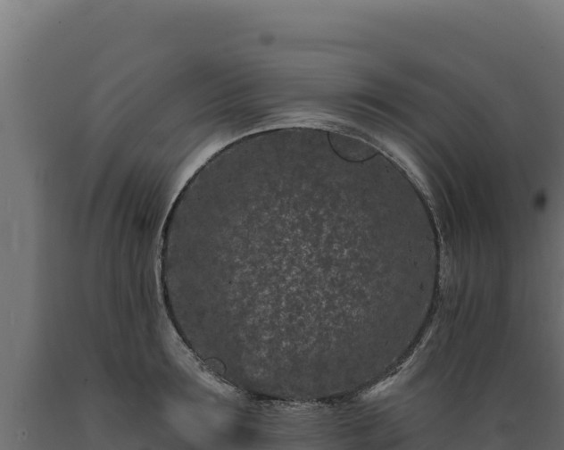 X0000089940899200707061058