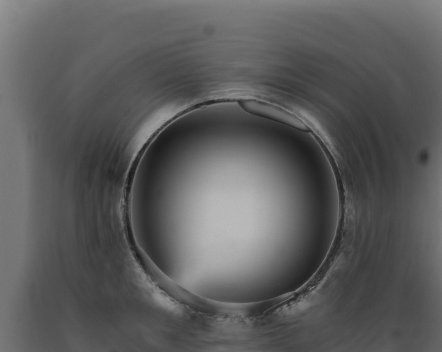 X0000089940901200707061058