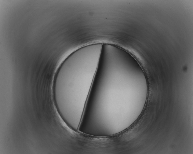 X0000089940902200707061058