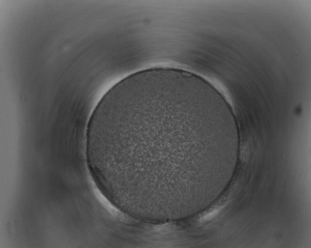 X0000089940903200707061058