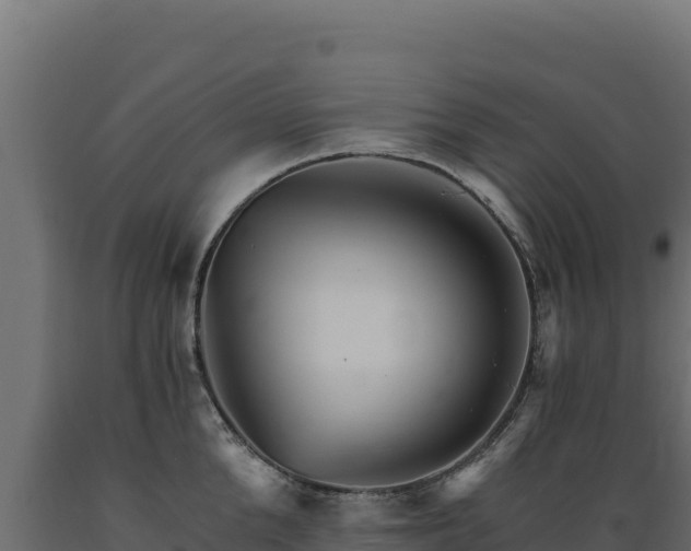 X0000089940904200707061058