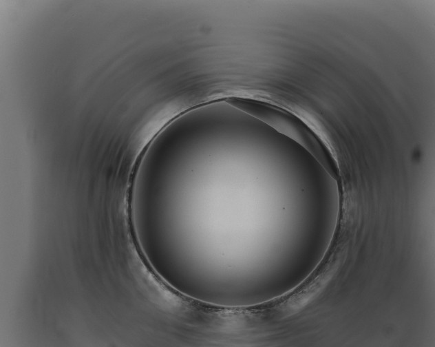 X0000089940906200707061058