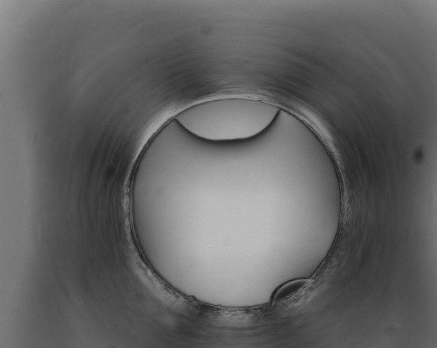 X0000089940907200707061058