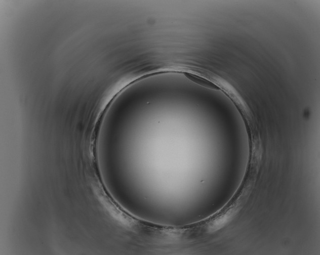 X0000089940908200707061058