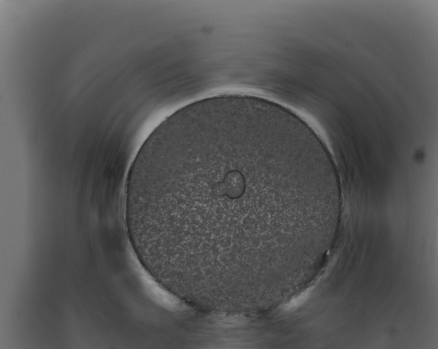 X0000089940911200707061058