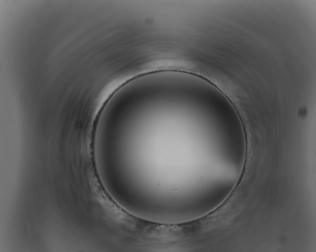 X0000089940912200707061058