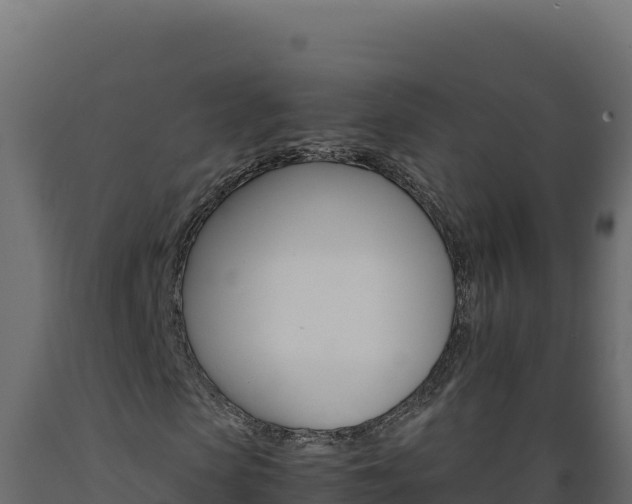 X0000089940913200707061057